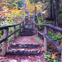 The Turtle, Sheltowee Trace